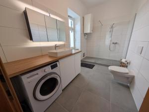 a bathroom with a washing machine and a sink at Flataid Apartmenthaus Tieschen in Tieschen +38 photos