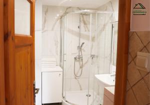 a bathroom with a shower and a sink at Noclegi Jaroszowice in Jaroszowice