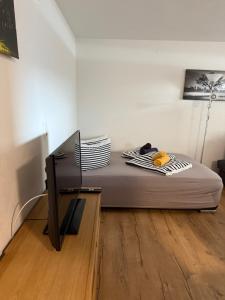 a bedroom with a bed and a tv in a room at ISIS---Ferienwohnung in Steinach am Brenner