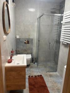 a bathroom with a shower and a sink and a toilet at Apartament Przy Parku in Bełchatów