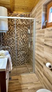 a shower with a glass door in a bathroom at Brvnara Vršac in Vršac +35 photos