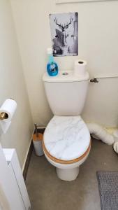 a bathroom with a toilet with a picture on the wall at Charmant T2 Spacieux idéalement situé - 2 chambres in Clermont-Ferrand