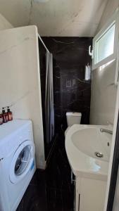 a bathroom with a washing machine and a sink at Nàra house 2 in Artemida +14 photos