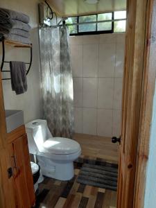 a bathroom with a toilet and a shower curtain at Villa Lago del Sol in El Castillo de La Fortuna