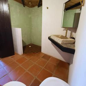 a bathroom with a sink and a toilet and a mirror at La Casa de Ticho in Mascota