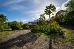 a house with a palm tree and a gravel driveway at KazAKaty in Trois-Rivières