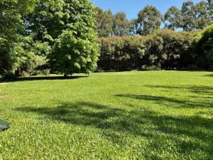 a large field of grass with trees in the background at Suite Republica del Tango Gonnet in Joaquín Gorina