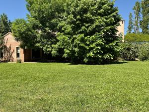 a large tree in a yard next to a house at Suite Republica del Tango Gonnet in Joaquín Gorina