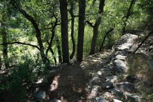 a path in a forest with trees and rocks at Lavender in Wimberley