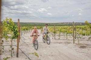 a man and woman riding bikes through a vineyard at Hotel Omún, San Miguel de Allende in Dolores Hidalgo