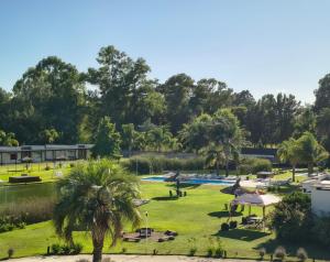 a park with palm trees and a body of water at Complejo Aquiles in Lobos