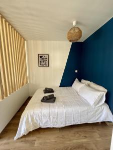 a bedroom with a bed with a blue wall at Studio Cosy in Mimizan-Plage +8 photos