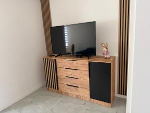 a flat screen tv sitting on top of a wooden entertainment center at Apartament Ostrowiec Świętokrzyski Browarna 4 in Ostrowiec Świętokrzyski