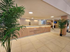 a lobby with a bar with plants in it at Hotel Rodadero Beach Blue in Santa Marta