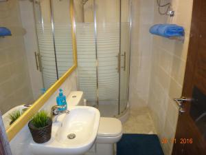 a bathroom with a shower and a sink and a toilet at Royal Luxury Apartments & Studios 2 in Amman
