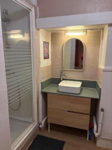 a bathroom with a sink and a shower at Appartement la Tûte centre Laruns in Laruns