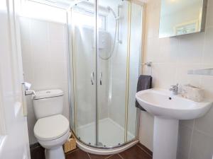 a bathroom with a shower and a toilet and a sink at Chalet 23 Erw Porthor in Tywyn +24 photos