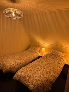two beds in a room with two lamps and a ceiling at Vakantiewoning de Hofmeier in Benteloo