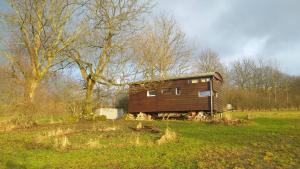 a wooden cabin in a field with a tree at Tiny house Suria - Český ráj in Prackov