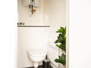 a bathroom with a white toilet in a room at Budget Mobile House in Faroe Islands in Strendur