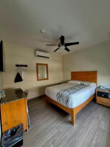 a bedroom with a bed and a ceiling fan at Hotel Baja in Tijuana
