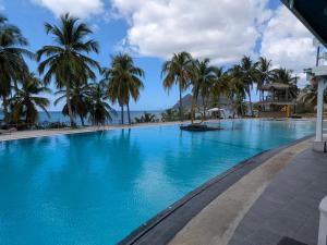 a large swimming pool with palm trees and the ocean at Un petit joyau 215 in Le Diamant