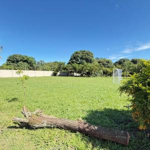a tree branch laying on the grass in a field at Chacara Italia in Uberaba