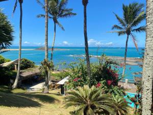 a view of the ocean from a resort with palm trees at Pousada Recanto dos Colibris in Guarapari