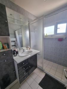 a bathroom with a sink and a shower at Appartement 30 m de la mer in La Turballe