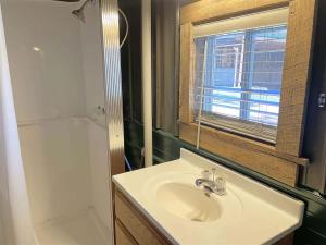 a bathroom with a sink and a shower and a window at Buckhorn Lookout in Custer