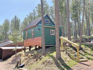 a green cabin with a black roof in the woods at Buckhorn Lookout in Custer