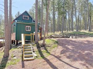 a small green cabin in the middle of a forest at Buckhorn Lookout in Custer +6 photos