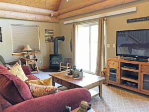 a living room with a couch and a tv at Cottage at Storm Mountain #5 in Hill City