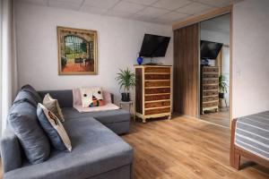 a living room with a gray couch and a television at Channel-Appartement cosy avec piscine, jardin & nature aux portes de Paris in Saint-Maurice