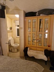 a bedroom with a bed and a toilet and a cabinet at BELLESVIEW Clarach Bay in Aberystwyth +8 photos