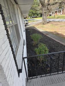 a window of a house with a garden next to it at Private guest rooms & baths in Atlanta