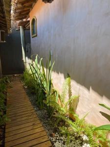 a garden with plants next to a building at Chalé Rosa in Trancoso