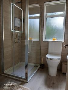 a bathroom with a toilet and a glass shower at The Greenway Getaway in Abbeyside