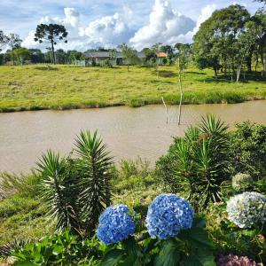 a view of a river with blue and white flowers at Hotel Entre Lagos in São José do Cerrito