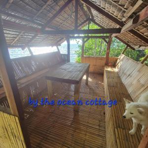 a dog standing in a wooden cabin with a bench at Mamita Seaside Resort in Guinisiliban