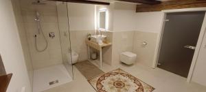 a bathroom with a shower and a toilet and a sink at Woodlight Loft - Sauna & Nature Escape near Rothenburg ob der Tauber - Self Check-in in Diebach
