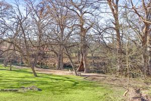 a group of trees in a field with green grass at Cowboy Casita in Wimberley +14 photos