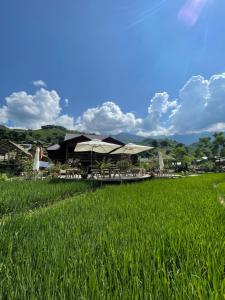 a field of green grass next to a resort at H'mong Eco House in Lao Cai
