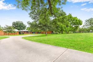 a road in a park with a tree and grass at River Nest in Wimberley
