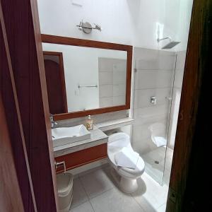 a bathroom with a toilet and a sink and a mirror at Hotel Boutique Villa Amonita in Villa de Leyva