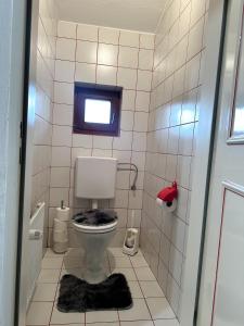 a small bathroom with a toilet and a window at Apartment nahe Semmering mit Sauna, Kamin & Terrasse in Enzenreith +36 photos