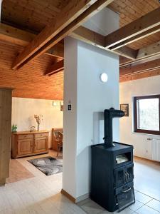 a living room with a stove in a room at Apartment nahe Semmering mit Sauna, Kamin & Terrasse in Enzenreith