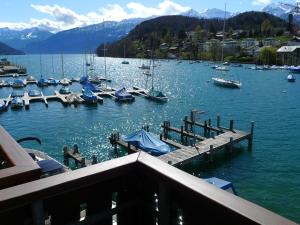 boats are docked in the water at Hotel-Restaurant Seegarten-Marina in Spiez