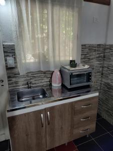 a kitchen with a sink and a microwave on a counter at La Damasca 1 in General Roca +9 photos