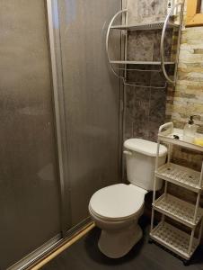 a bathroom with a toilet and a shower at Rita in Lota +6 photos